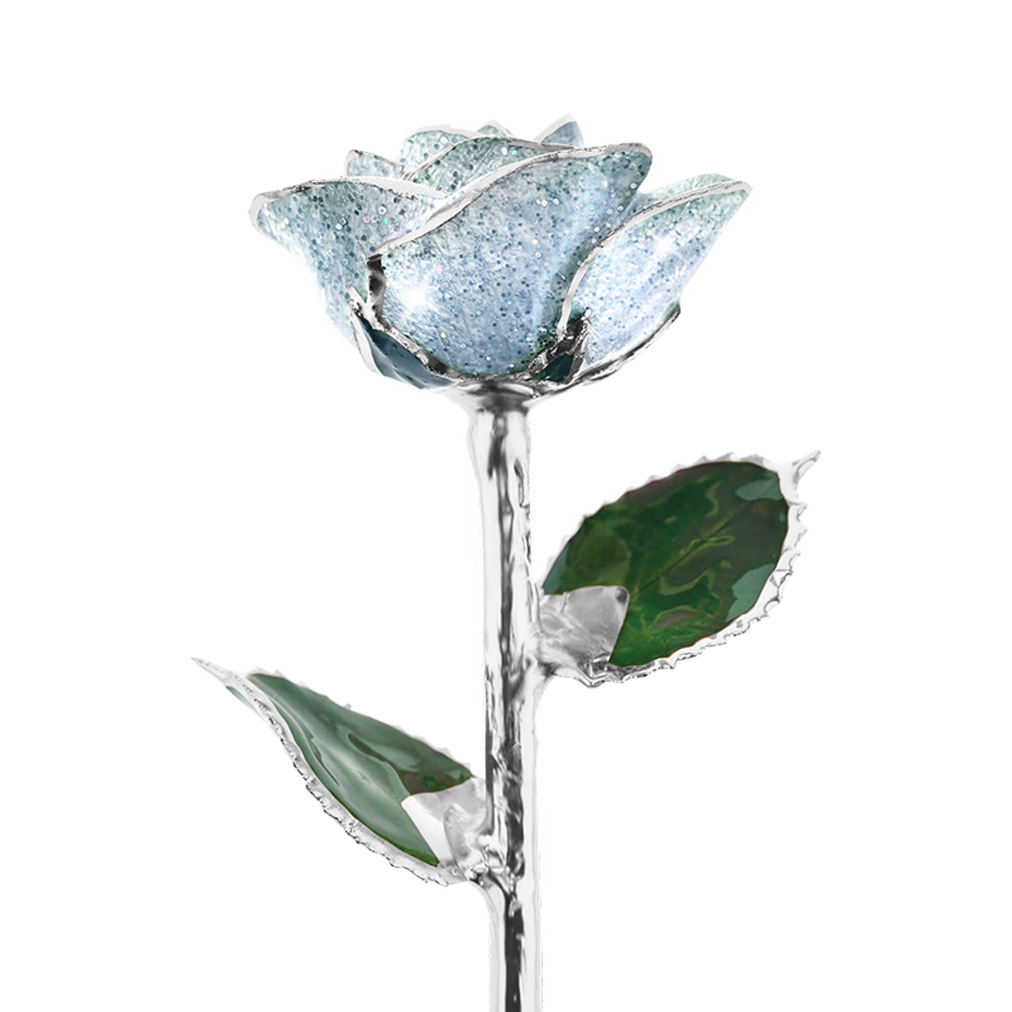 Mystic Blue Platinum Rose
