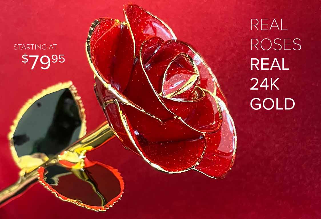 Our 24kt Yellow Gold Dipped Valentine's Day Red Rose in front of a pinkish red background.