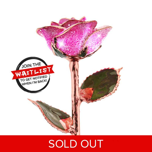 Pink Champagne Rose Gold Dipped Rose