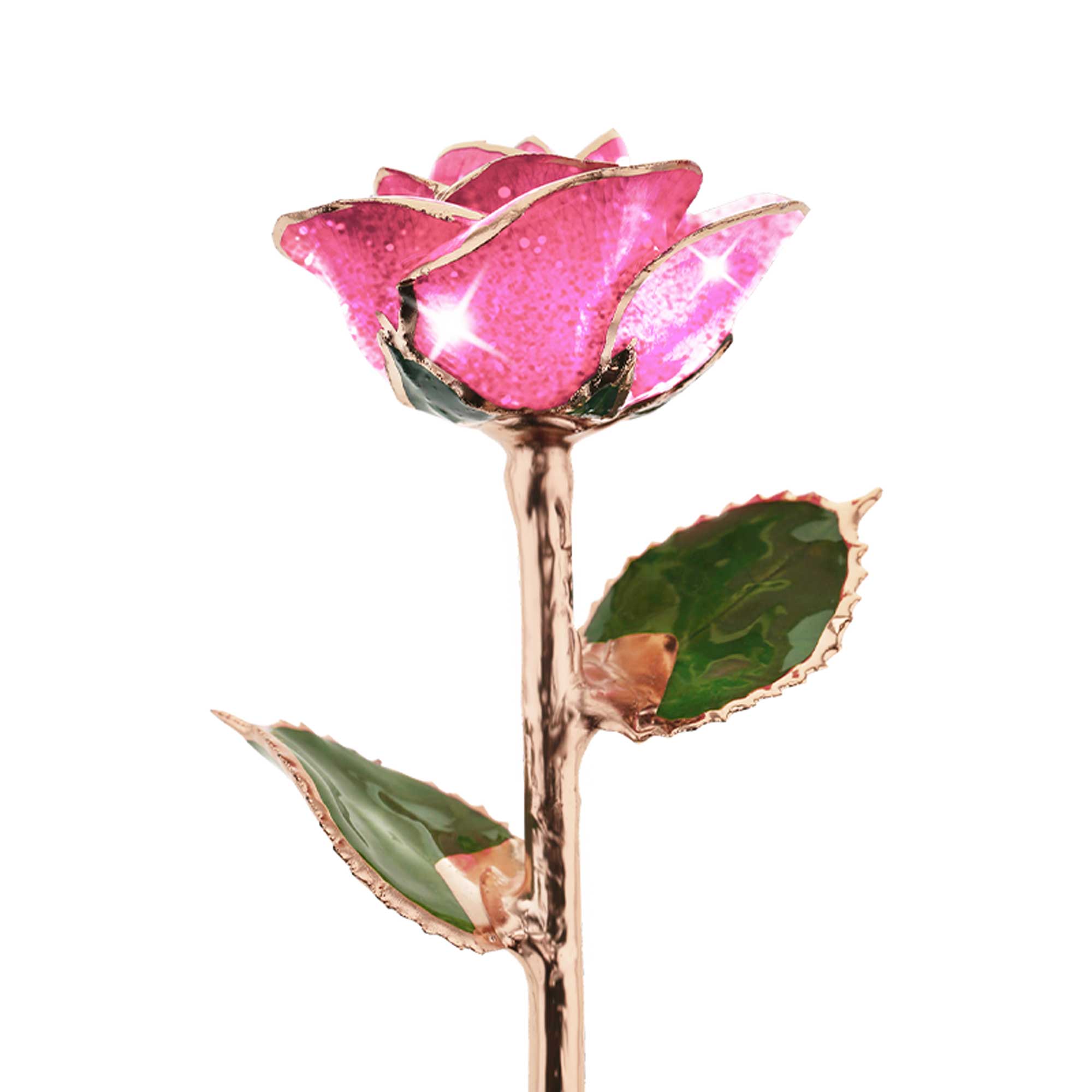 Pink Champagne Rose Gold Dipped Rose