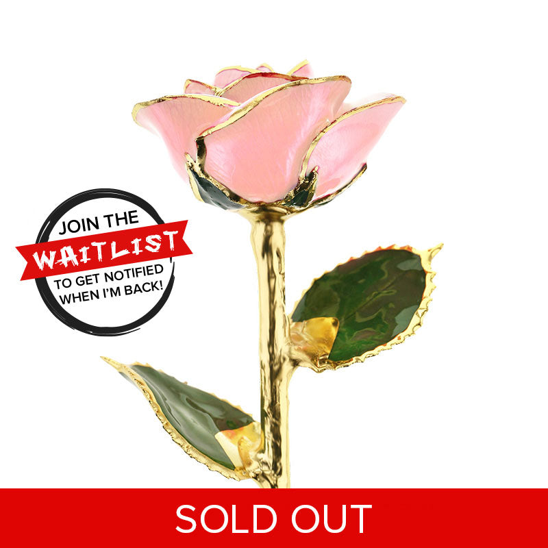 I Love You 24kt Gold Dipped Rose