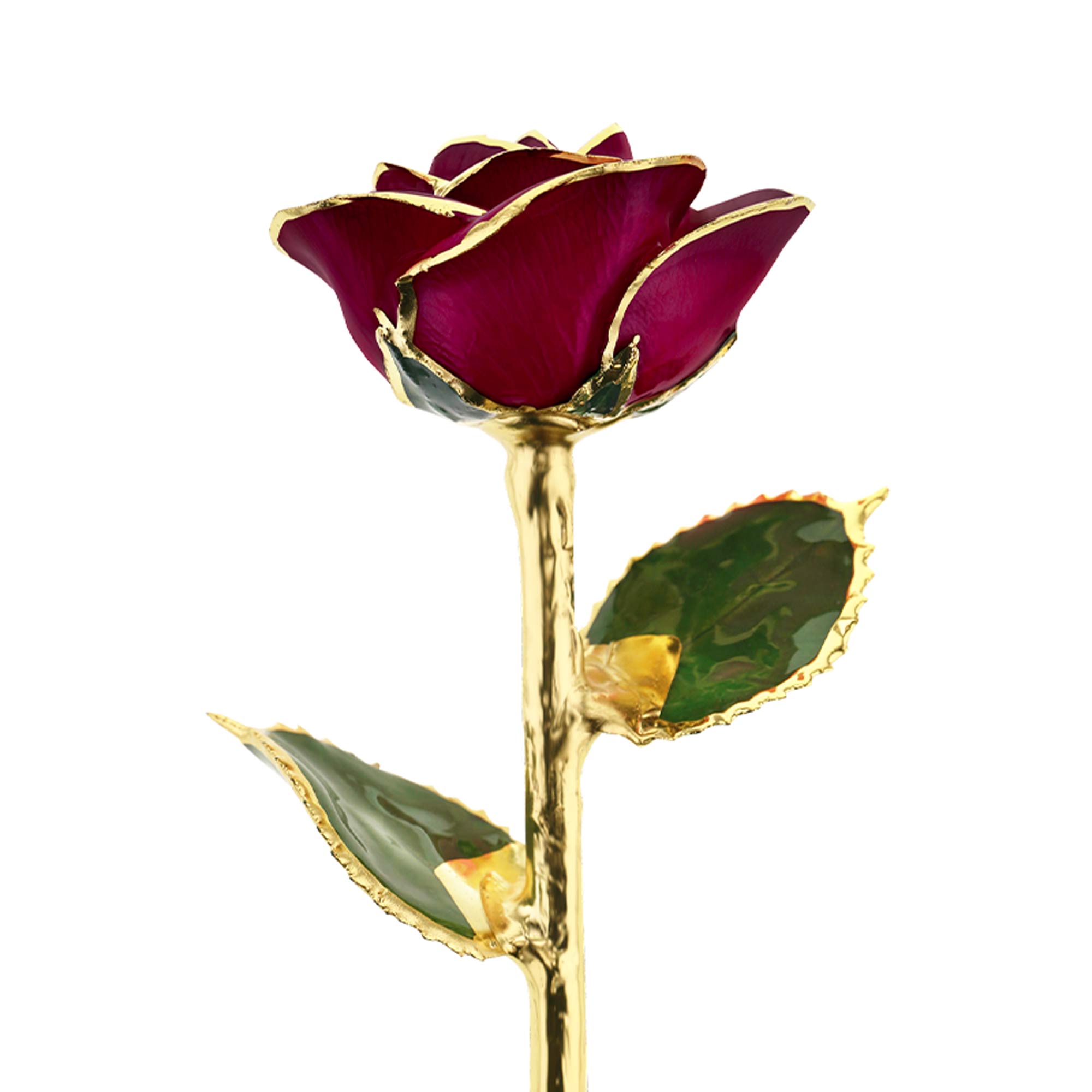 Red Wine 24kt Gold Dipped Rose