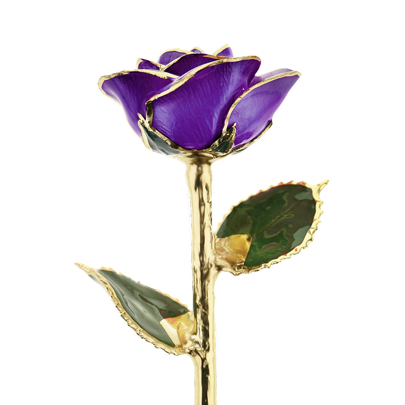 Purple Passion 24kt Gold Dipped Rose – Steven Singer Jewelers