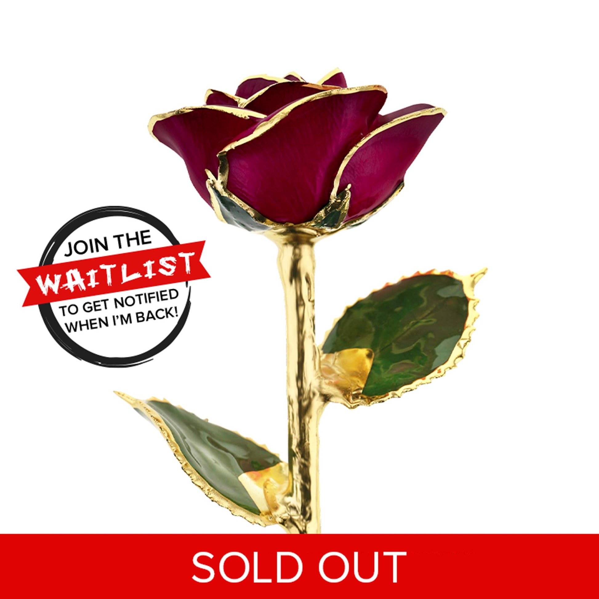 Red Wine 24kt Gold Dipped Rose