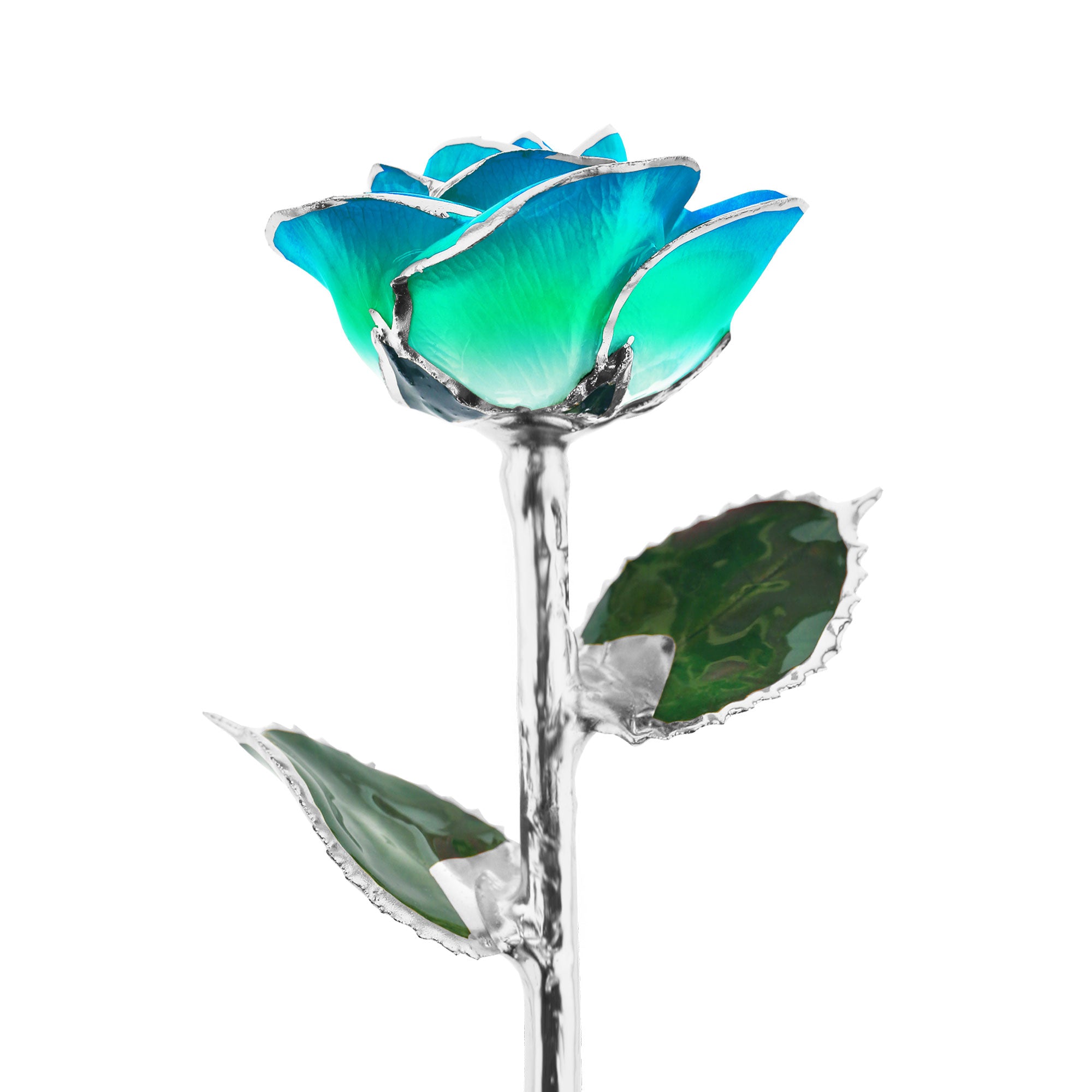 Peacock Platinum Dipped Rose – Steven Singer Jewelers