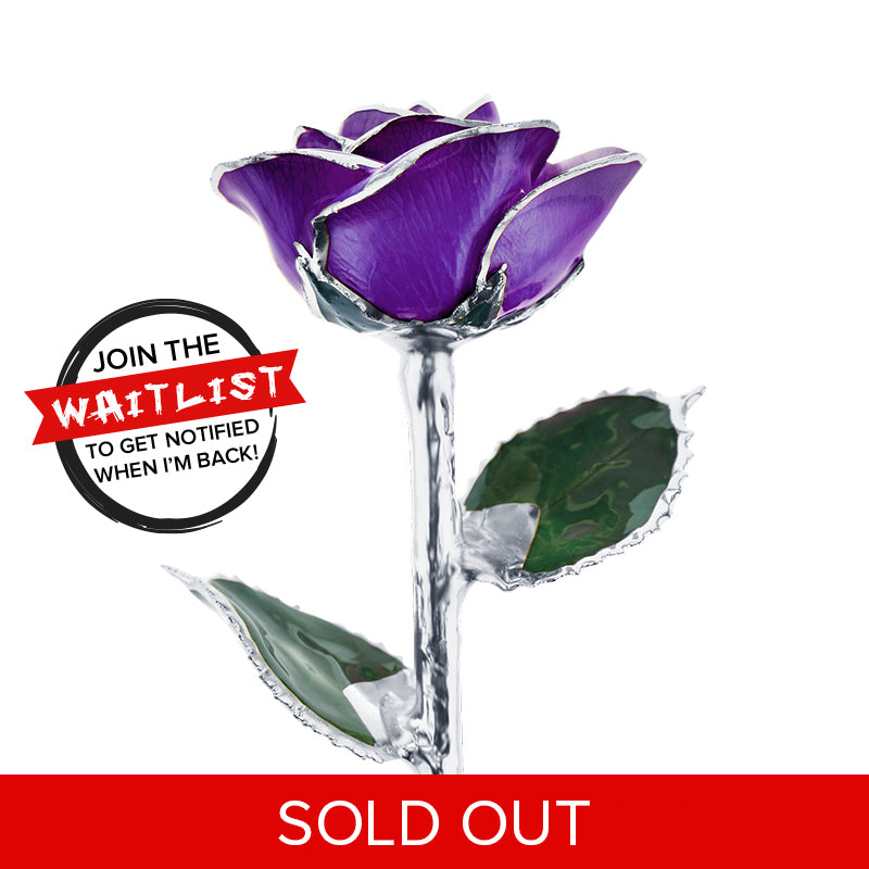 Platinum Purple Passion Rose