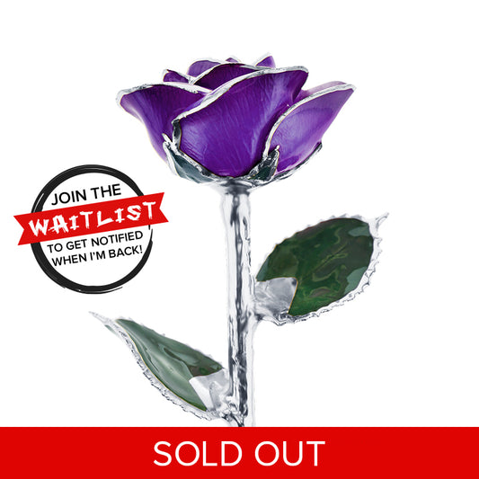 Platinum Purple Passion Rose