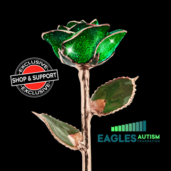 健康アクセサリー ROSE gr0rp00073_Eagles_Autism_Chari