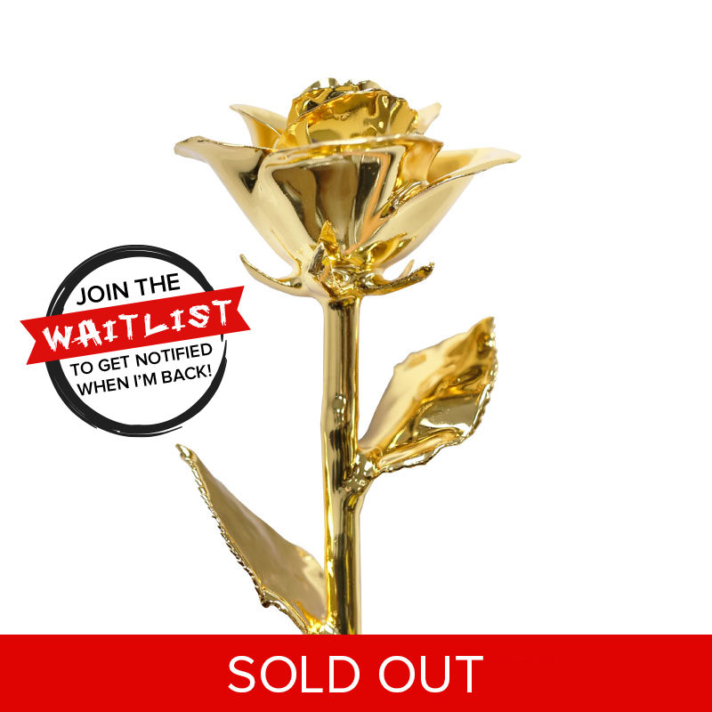 Classic 24kt Gold Dipped Rose