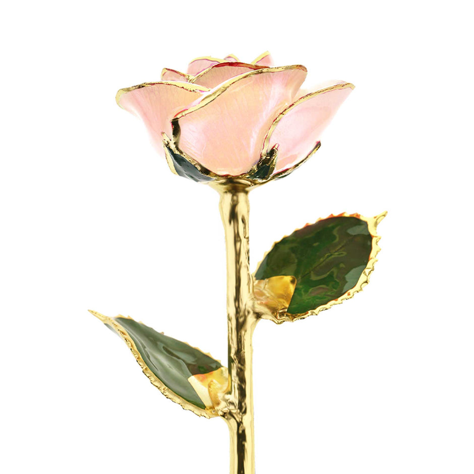24 Karat Gold Dipped Roses | Steven Singer Jewelers