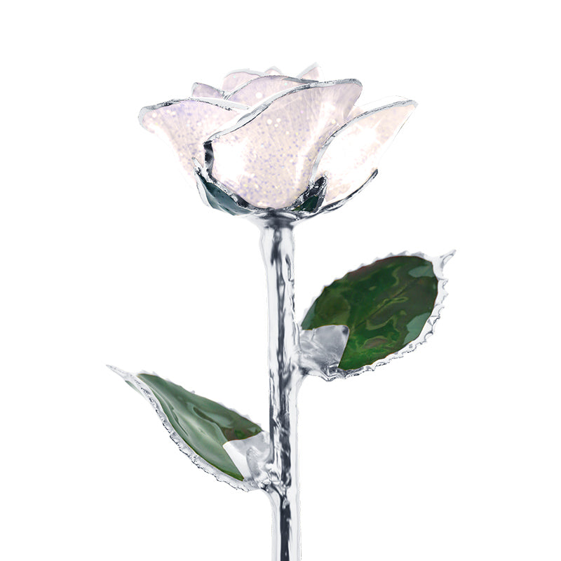 Frozen Platinum Rose