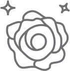 Rose Scent