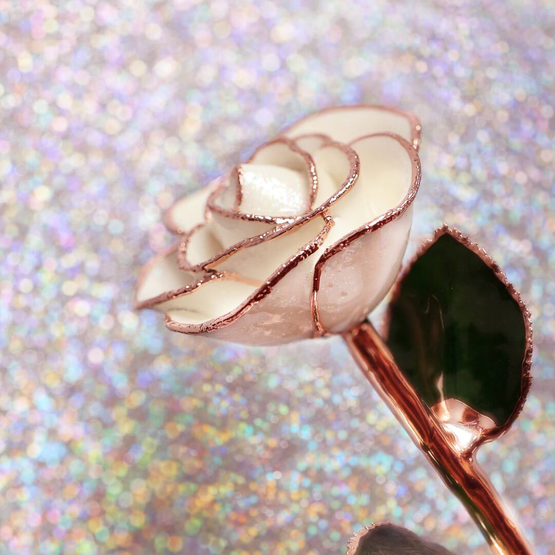 Elisabethan Rose セット Scepter'd Isle (Ausland) | English Shrub Rose | David Austin Roses