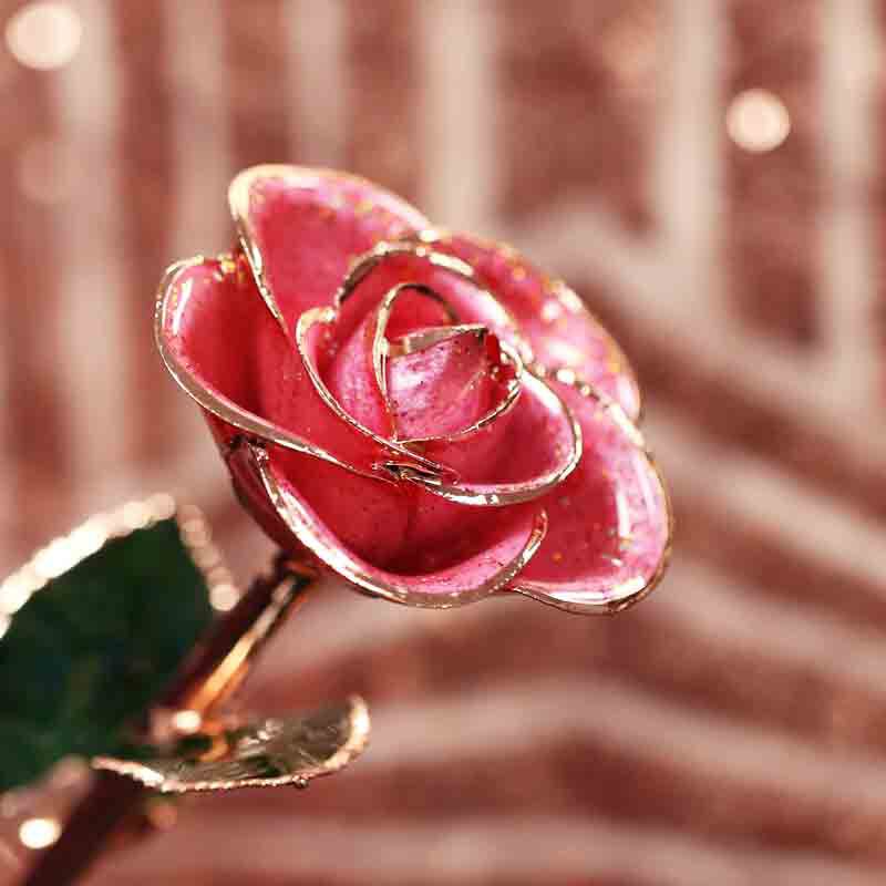 Pink Champagne Rose Gold Dipped Rose