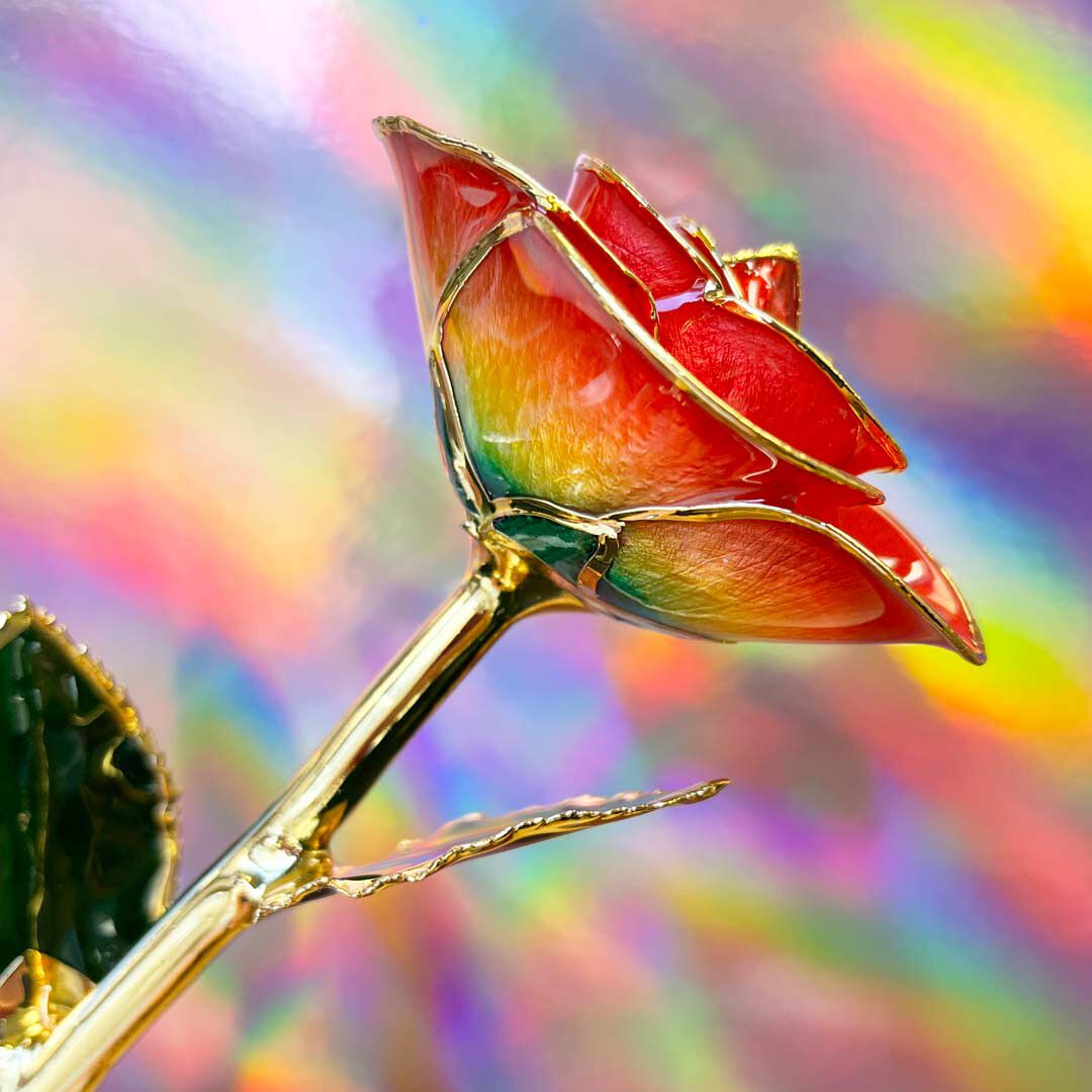 Rainbow 24kt Gold Dipped Rose