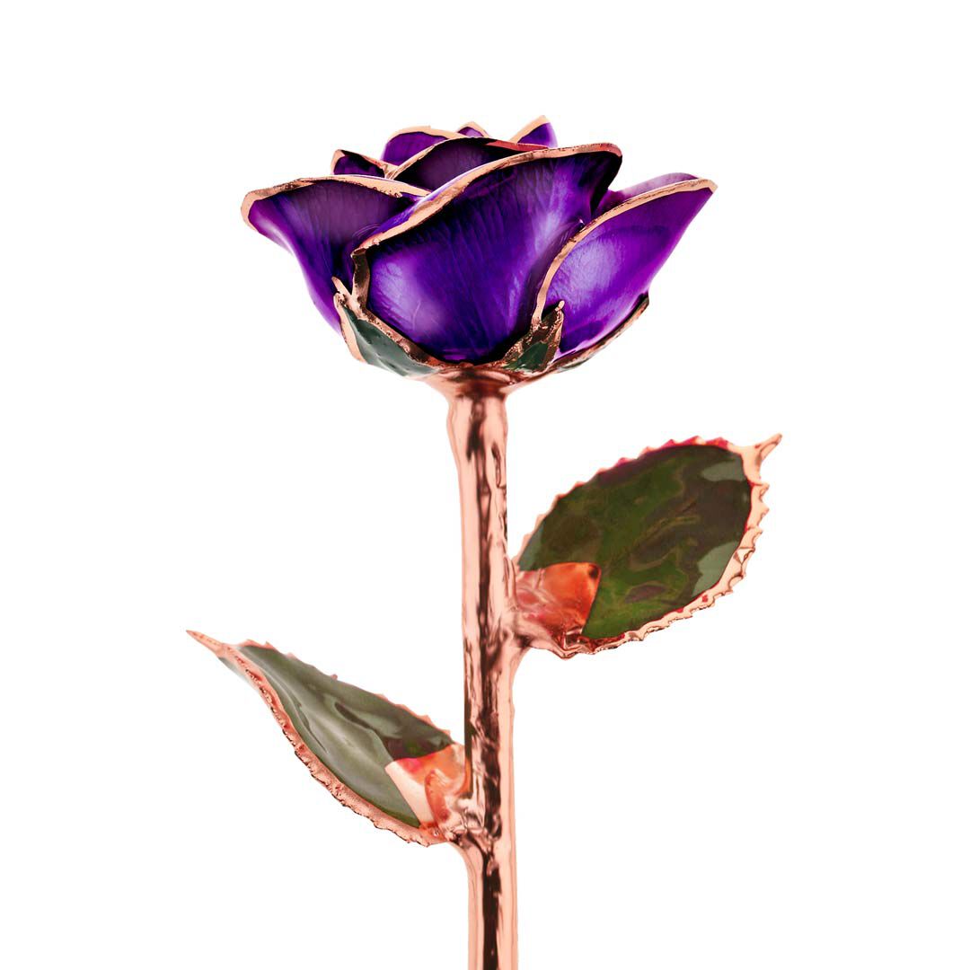 Purple Passion Rose Gold Dipped Rose