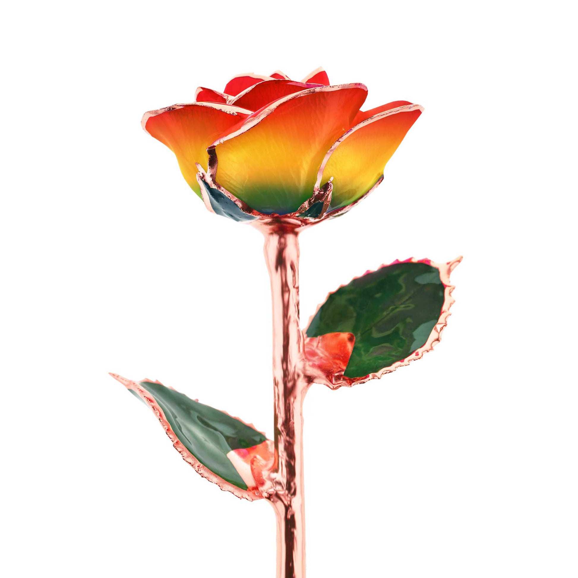 Rainbow Rose Gold Dipped Rose
