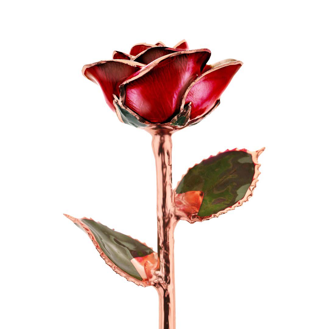 Valentine's Day Red Rose Gold Dipped Rose