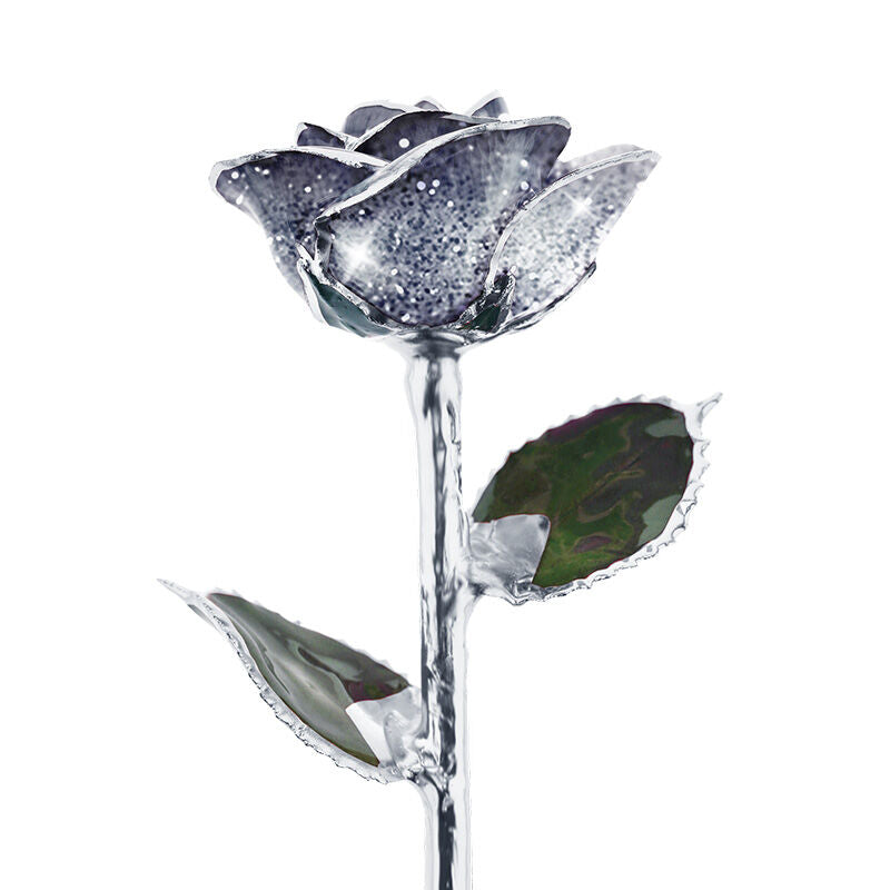 Stardust Gray Platinum Rose