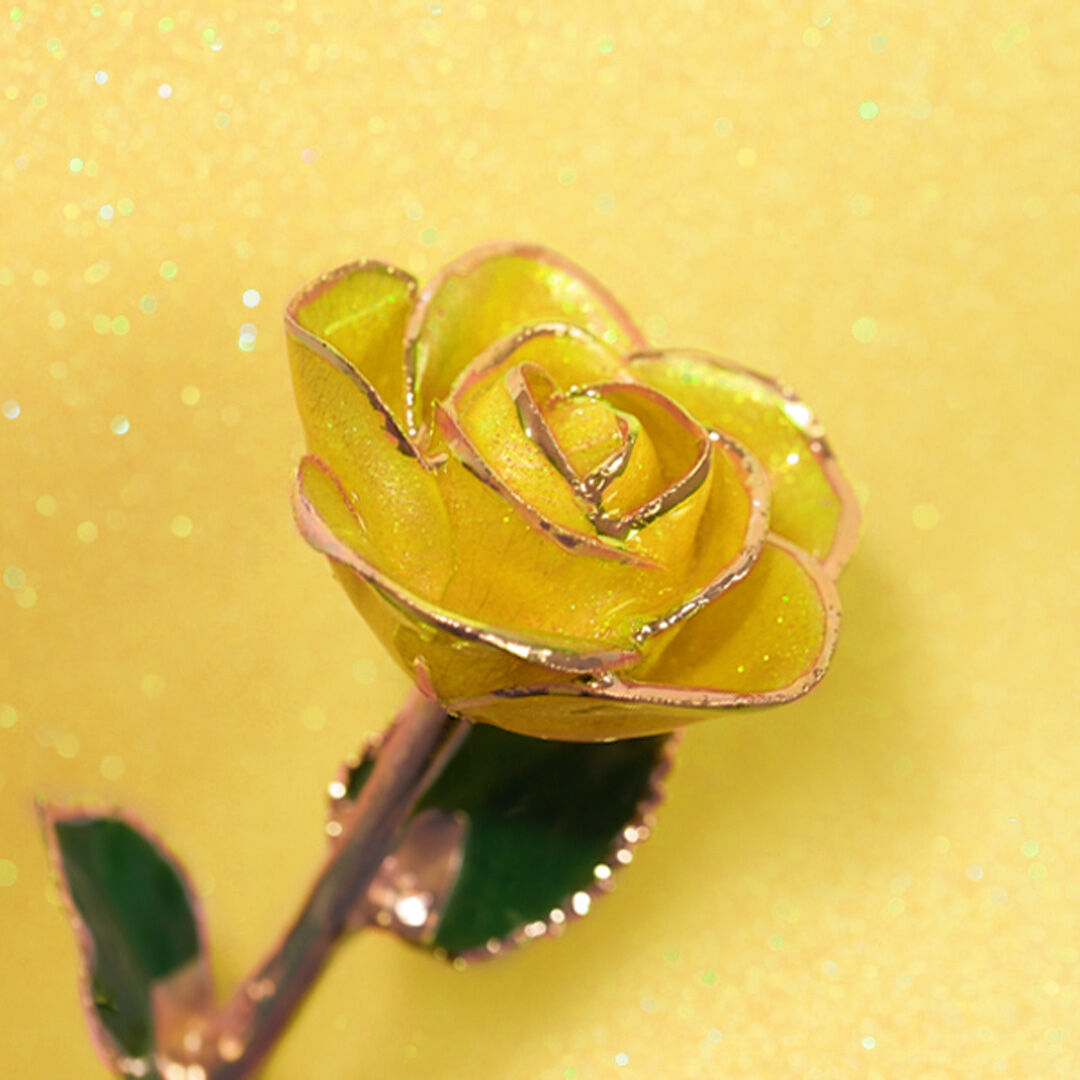 Sunshine Yellow Rose Gold Dipped Rose