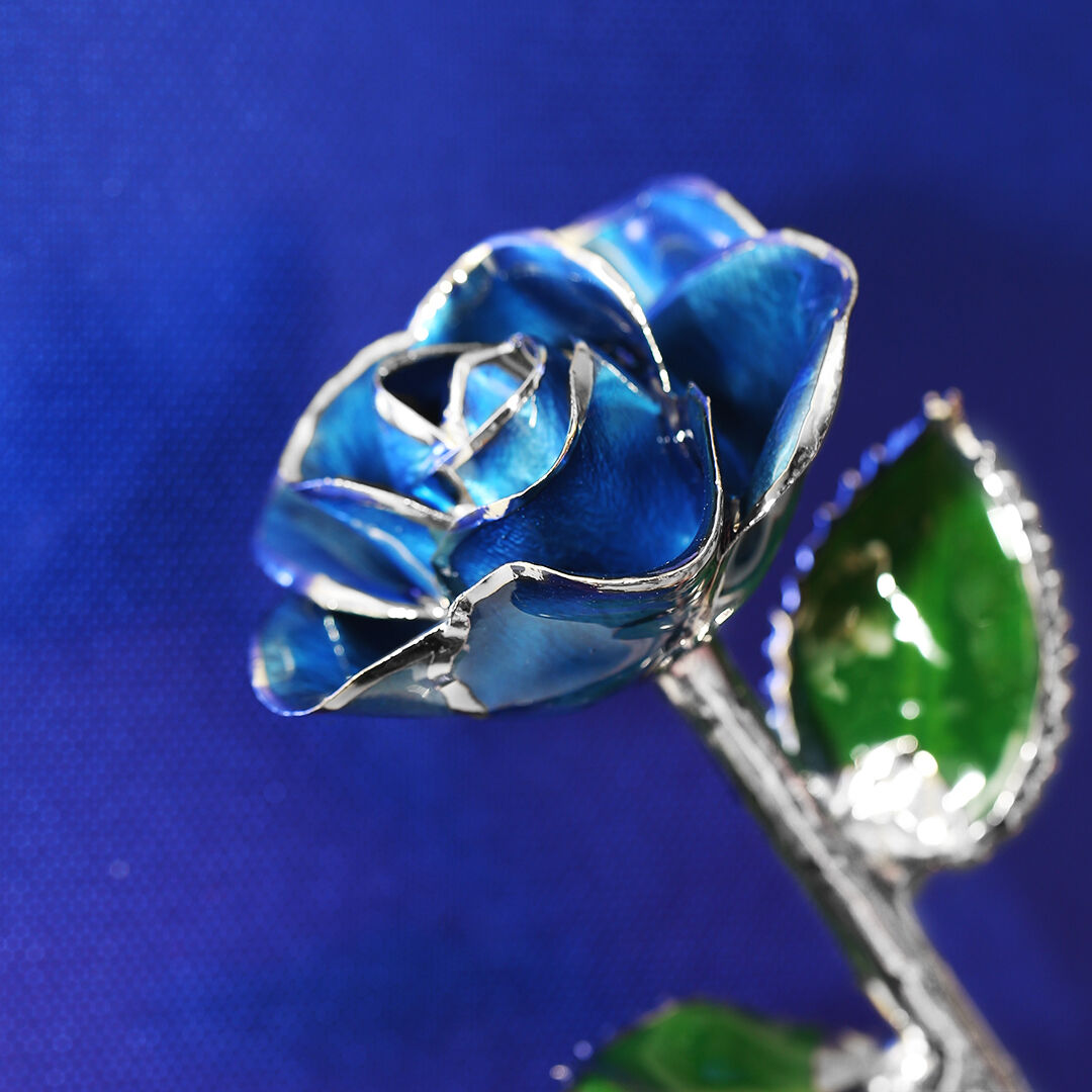 Platinum Royal Sapphire Rose