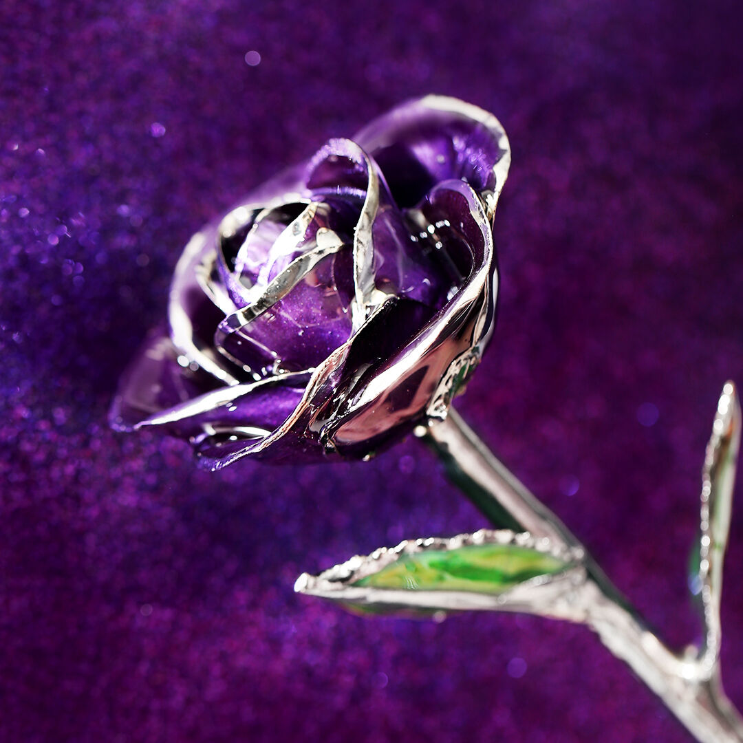 Platinum Purple Passion Rose – Steven Singer Jewelers