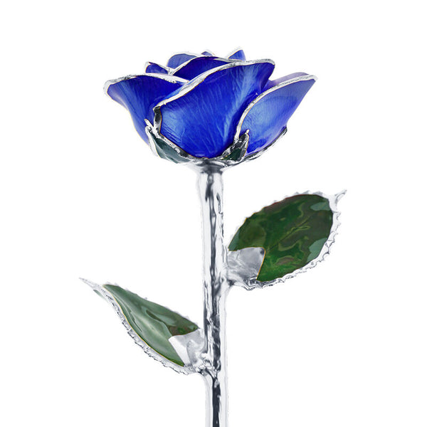 Platinum Royal Sapphire Rose – Steven Singer Jewelers