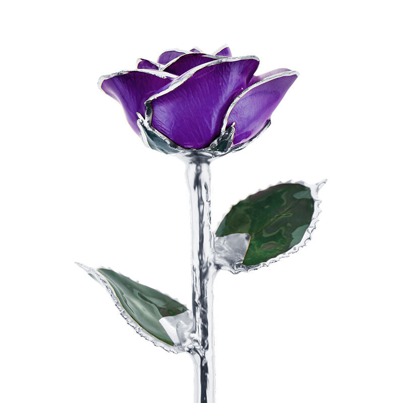 Platinum Purple Passion Rose