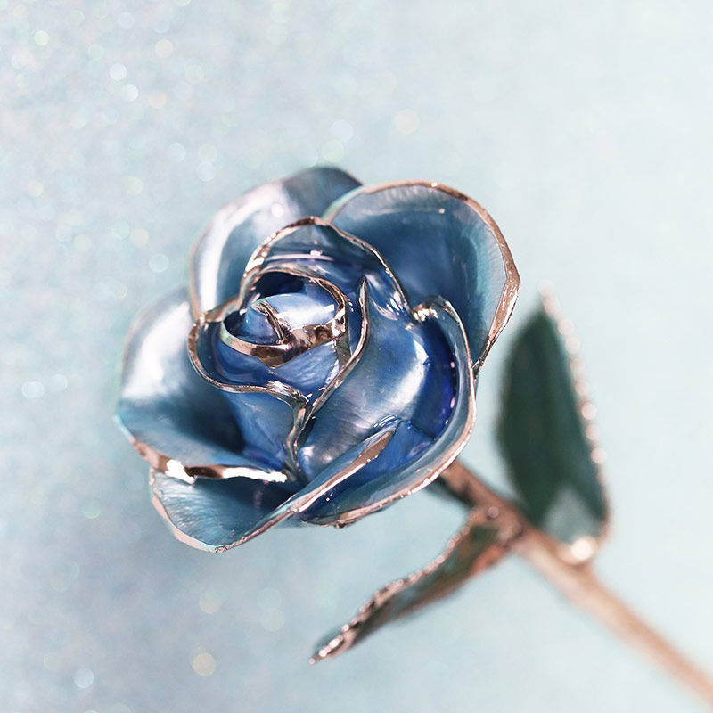 Platinum Baby Blue Rose