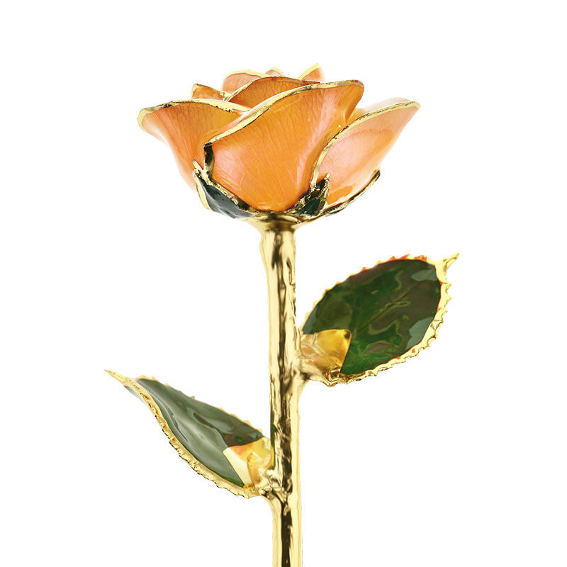 Creamsicle 24kt Gold Dipped Rose