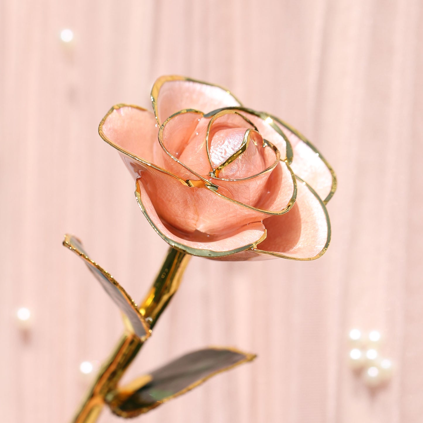 I Love You 24kt Gold Dipped Rose