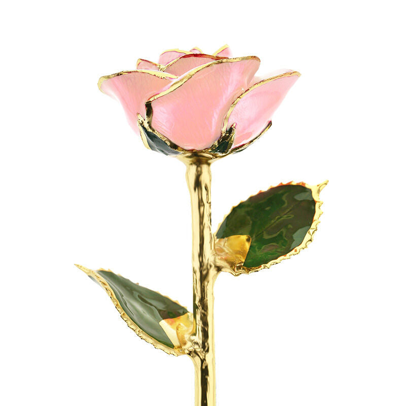 I Love You 24kt Gold Dipped Rose